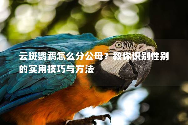 云斑鹦鹉怎么分公母？教你识别性别的实用技巧与方法