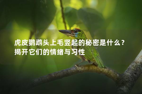 虎皮鹦鹉头上毛竖起的秘密是什么？揭开它们的情绪与习性