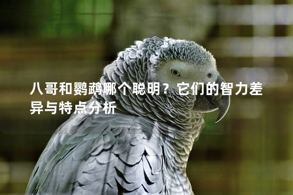 八哥和鹦鹉哪个聪明？它们的智力差异与特点分析