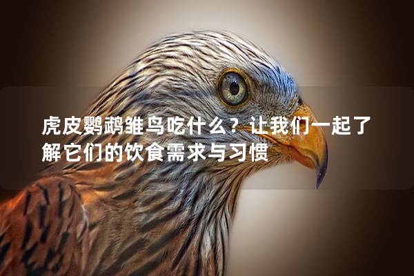 虎皮鹦鹉雏鸟吃什么？让我们一起了解它们的饮食需求与习惯