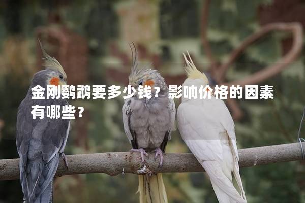 金刚鹦鹉要多少钱？影响价格的因素有哪些？