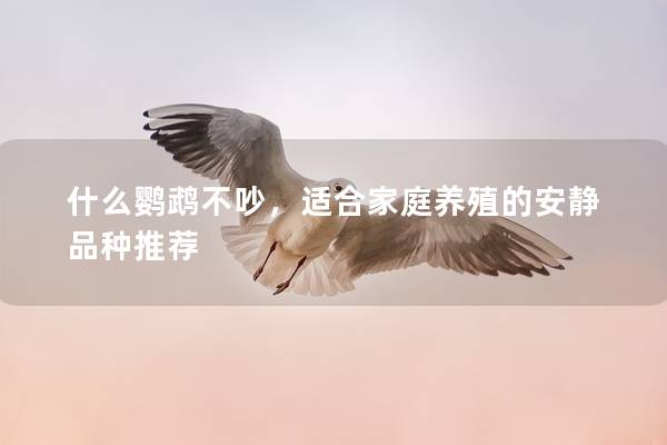 什么鹦鹉不吵，适合家庭养殖的安静品种推荐