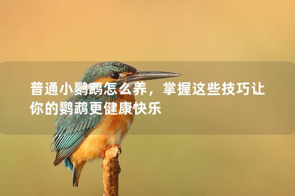 普通小鹦鹉怎么养，掌握这些技巧让你的鹦鹉更健康快乐