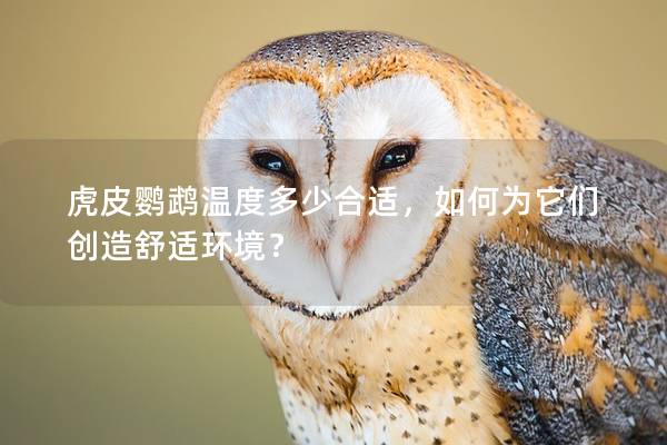 虎皮鹦鹉温度多少合适，如何为它们创造舒适环境？