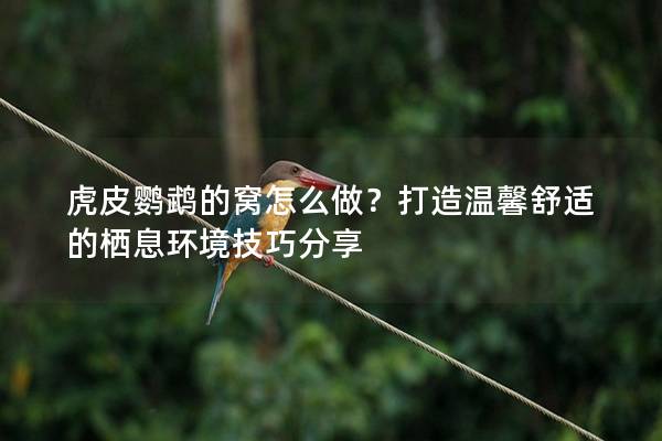 虎皮鹦鹉的窝怎么做？打造温馨舒适的栖息环境技巧分享