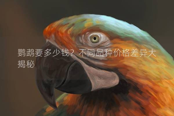鹦鹉要多少钱？不同品种价格差异大揭秘