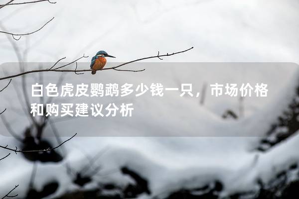 白色虎皮鹦鹉多少钱一只，市场价格和购买建议分析