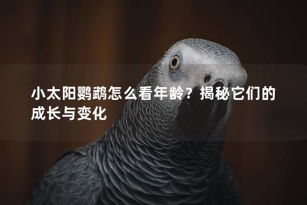 小太阳鹦鹉怎么看年龄？揭秘它们的成长与变化