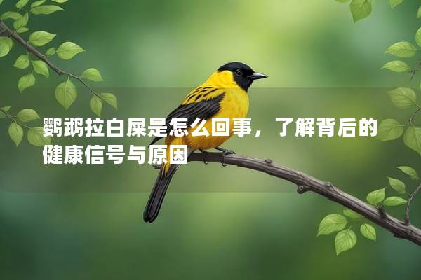 鹦鹉拉白屎是怎么回事，了解背后的健康信号与原因
