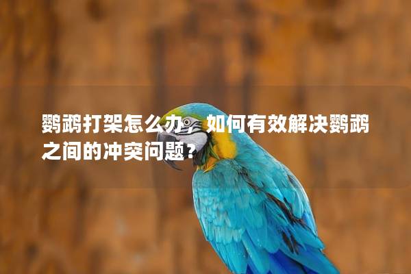 鹦鹉打架怎么办，如何有效解决鹦鹉之间的冲突问题？