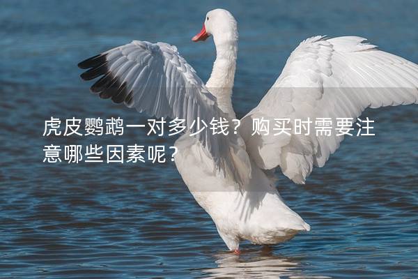 虎皮鹦鹉一对多少钱？购买时需要注意哪些因素呢？