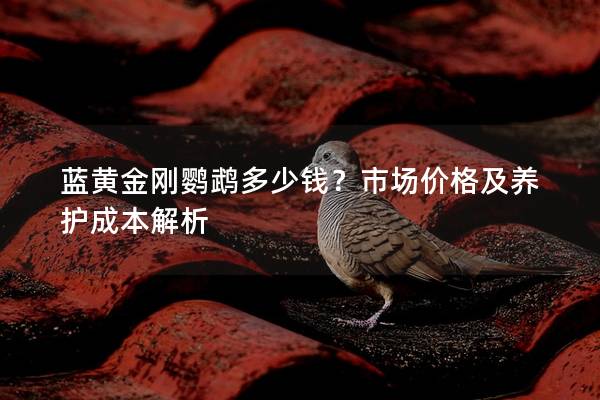 蓝黄金刚鹦鹉多少钱？市场价格及养护成本解析