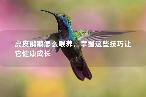 虎皮鹦鹉怎么喂养，掌握这些技巧让它健康成长