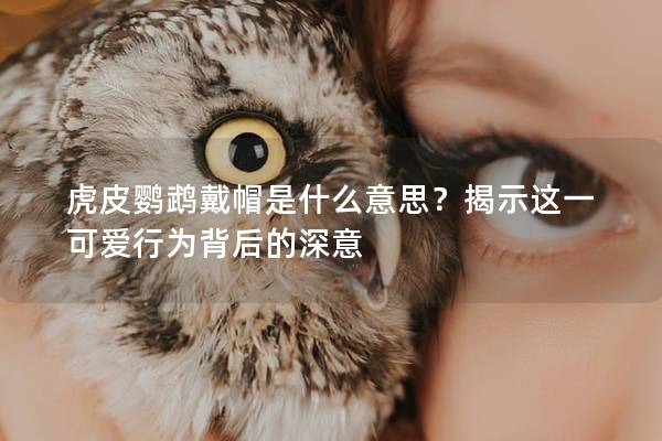 虎皮鹦鹉戴帽是什么意思？揭示这一可爱行为背后的深意