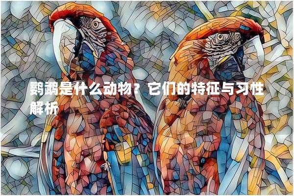 鹦鹉是什么动物？它们的特征与习性解析