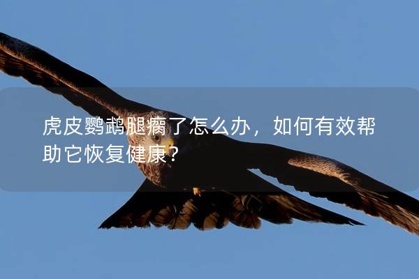 虎皮鹦鹉腿瘸了怎么办，如何有效帮助它恢复健康？