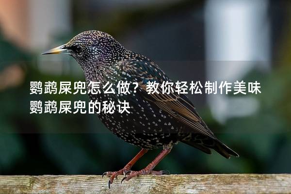 鹦鹉屎兜怎么做？教你轻松制作美味鹦鹉屎兜的秘诀