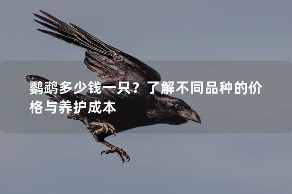 鹦鹉多少钱一只？了解不同品种的价格与养护成本