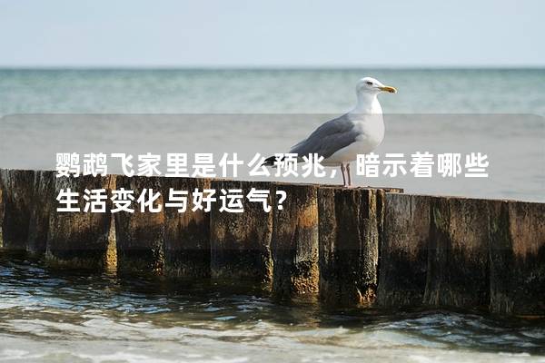 鹦鹉飞家里是什么预兆，暗示着哪些生活变化与好运气？