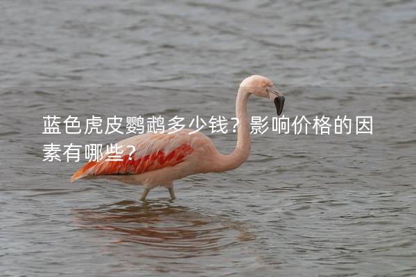 蓝色虎皮鹦鹉多少钱？影响价格的因素有哪些？