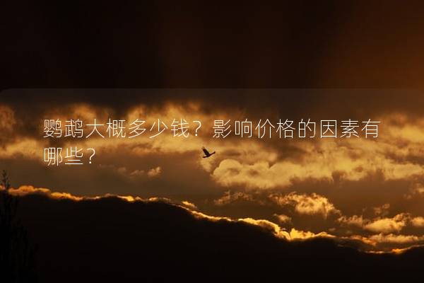 鹦鹉大概多少钱？影响价格的因素有哪些？