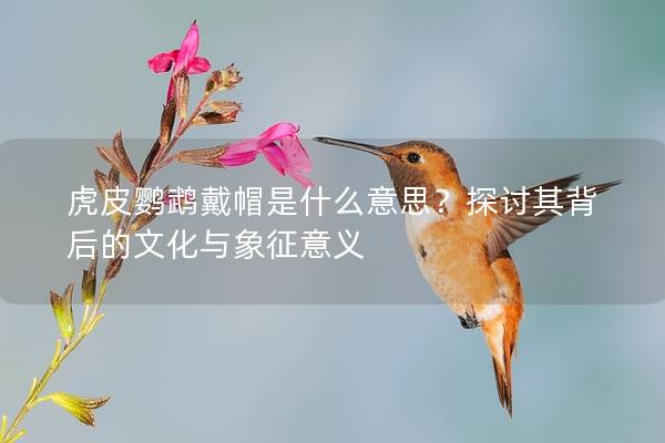 虎皮鹦鹉戴帽是什么意思？探讨其背后的文化与象征意义
