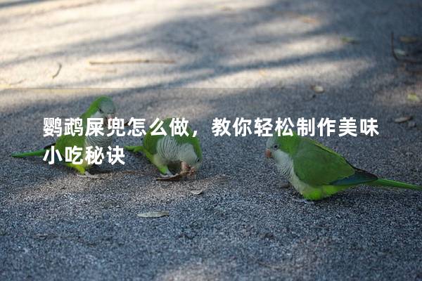鹦鹉屎兜怎么做，教你轻松制作美味小吃秘诀
