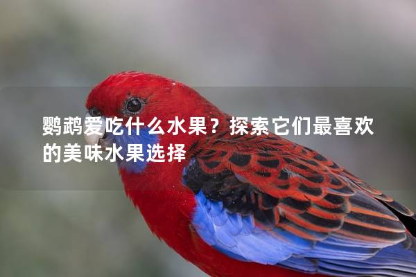 鹦鹉爱吃什么水果？探索它们最喜欢的美味水果选择