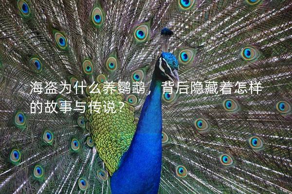 海盗为什么养鹦鹉，背后隐藏着怎样的故事与传说？