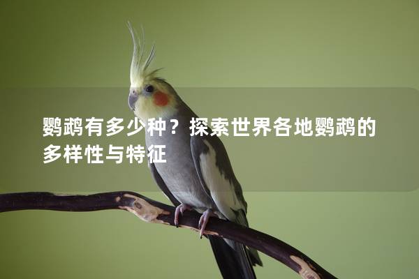 鹦鹉有多少种？探索世界各地鹦鹉的多样性与特征