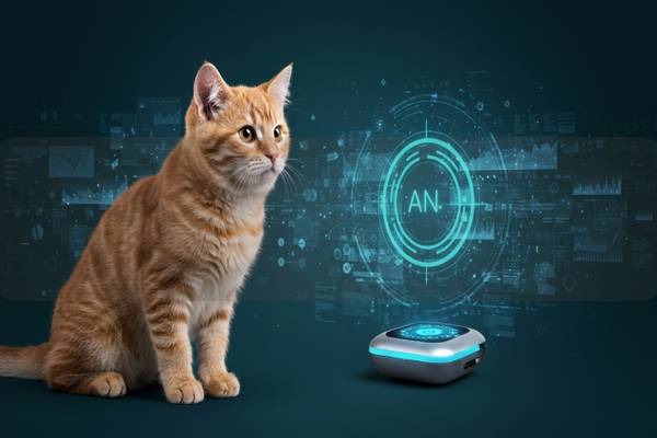 宠物信托与智能宠物AI：保障爱宠未来的数字化解决方案