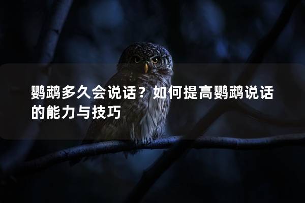 鹦鹉多久会说话？如何提高鹦鹉说话的能力与技巧