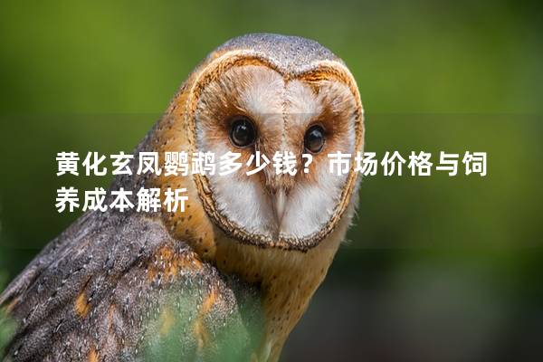 黄化玄凤鹦鹉多少钱？市场价格与饲养成本解析