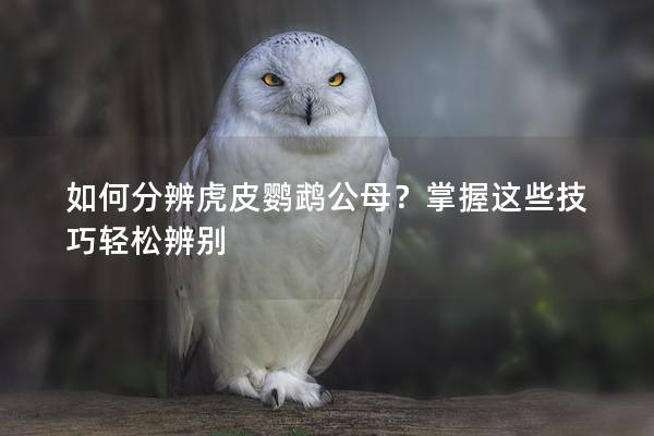 如何分辨虎皮鹦鹉公母？掌握这些技巧轻松辨别