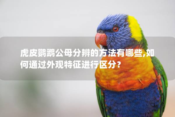 虎皮鹦鹉公母分辨的方法有哪些,如何通过外观特征进行区分？