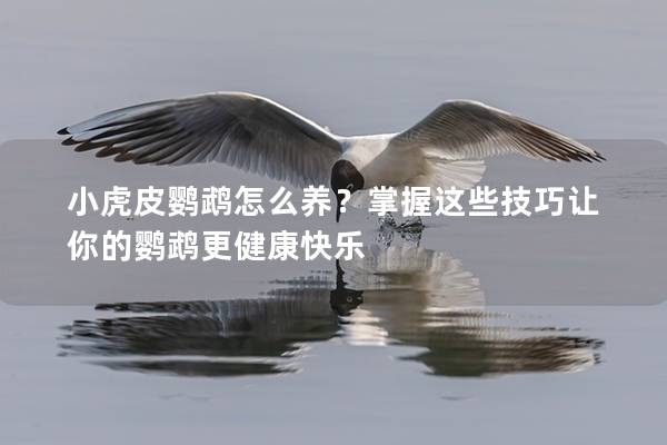 小虎皮鹦鹉怎么养？掌握这些技巧让你的鹦鹉更健康快乐