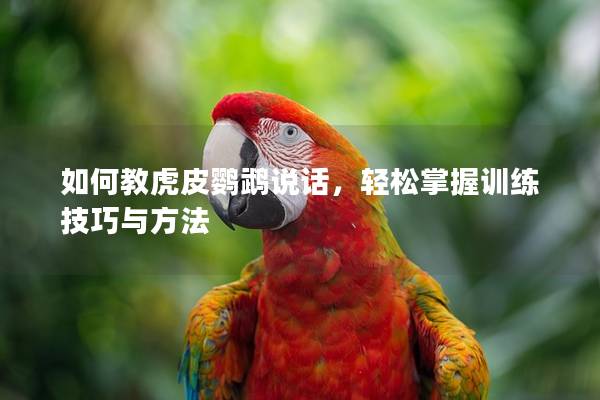 如何教虎皮鹦鹉说话，轻松掌握训练技巧与方法
