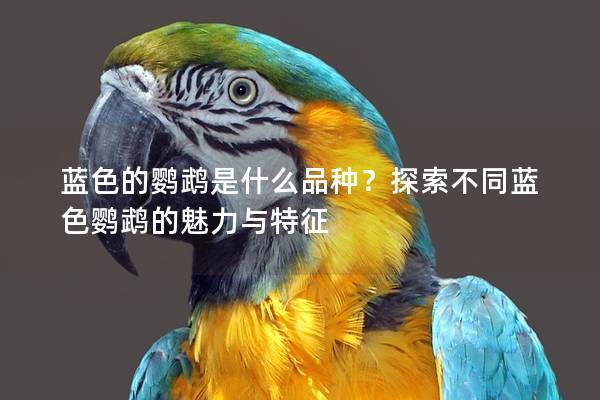 蓝色的鹦鹉是什么品种？探索不同蓝色鹦鹉的魅力与特征