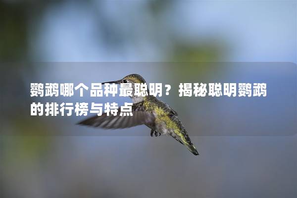鹦鹉哪个品种最聪明？揭秘聪明鹦鹉的排行榜与特点