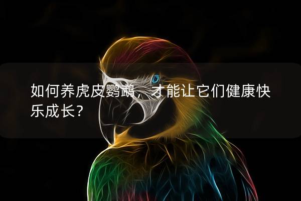 如何养虎皮鹦鹉，才能让它们健康快乐成长？