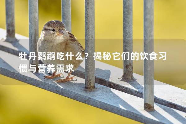 牡丹鹦鹉吃什么？揭秘它们的饮食习惯与营养需求