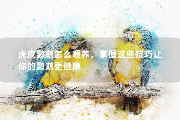 虎皮鹦鹉怎么喂养，掌握这些技巧让你的鹦鹉更健康