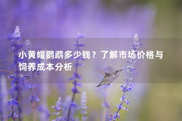 小黄帽鹦鹉多少钱？了解市场价格与饲养成本分析