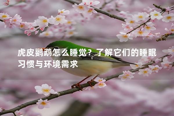 虎皮鹦鹉怎么睡觉？了解它们的睡眠习惯与环境需求