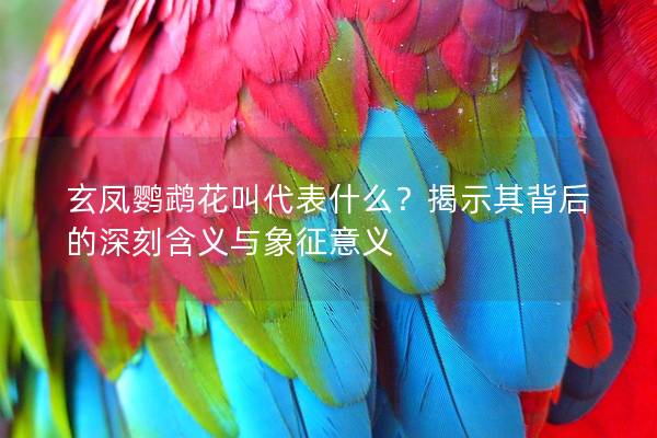 玄凤鹦鹉花叫代表什么？揭示其背后的深刻含义与象征意义
