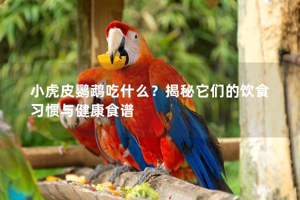 小虎皮鹦鹉吃什么？揭秘它们的饮食习惯与健康食谱