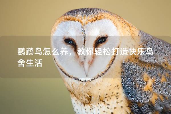 鹦鹉鸟怎么养，教你轻松打造快乐鸟舍生活