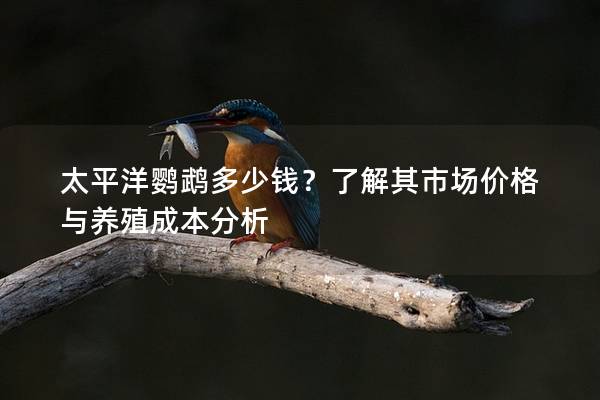 太平洋鹦鹉多少钱？了解其市场价格与养殖成本分析