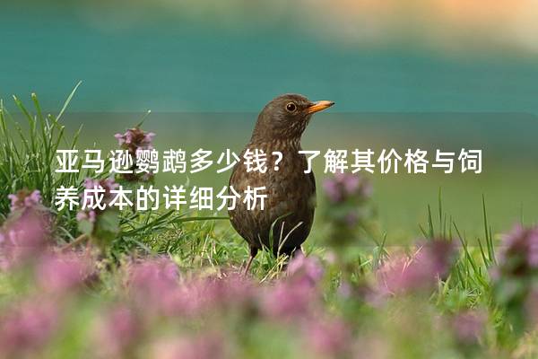 亚马逊鹦鹉多少钱？了解其价格与饲养成本的详细分析