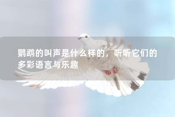 鹦鹉的叫声是什么样的，听听它们的多彩语言与乐趣